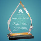 Custom Crystal Corporate Award – Engraved Recognition Trophy