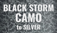 Black Storm Camo to Silver