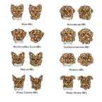 Line Art Dog Ornament – 108 Breeds with Optional Name Bone