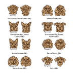 Line Art Dog Ornament – 108 Breeds with Optional Name Bone